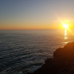 Meet your Posher, Reynaldo